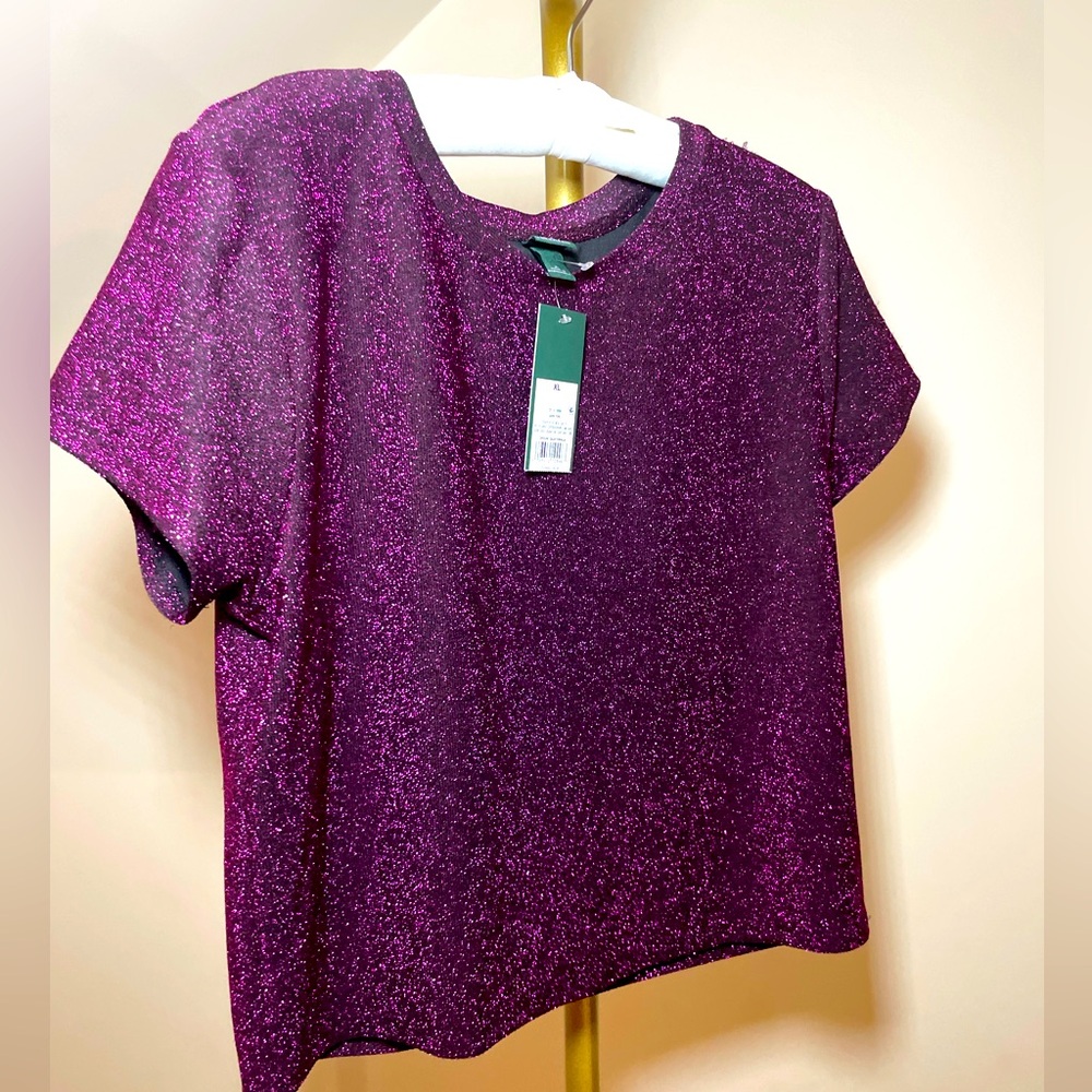 NWT XL Wild Fable Purple glitter crop top